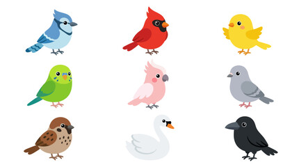 Collection of diverse bird illustrations © Cio