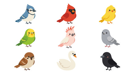 Collection of diverse cartoon birds © BIGO