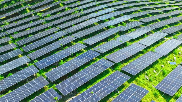 Aerial view of solar panels installed on a green hillside generating clean renewable energy.