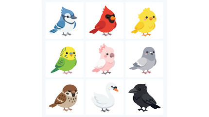 Collection of various cartoon birds © BIGO