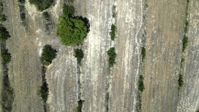 Aerial view of dry rocky terrain with scattered green trees and shrubs in Moraira, Valencian Community, Spain.