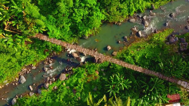 Aerial view of lush green forest with winding river and traditional bamboo bridge in a tropical setting.