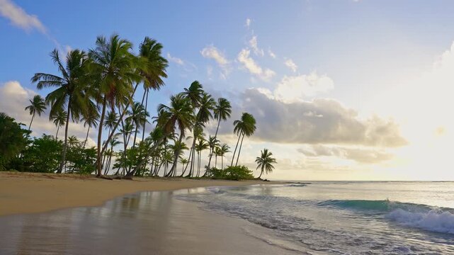 Beach with palm trees in the sea against the backdrop of the setting sun. Waves crash against the shore. Caribbean island landscape, sunset and sunrise view. Palm trees on the sand and a calm sea.