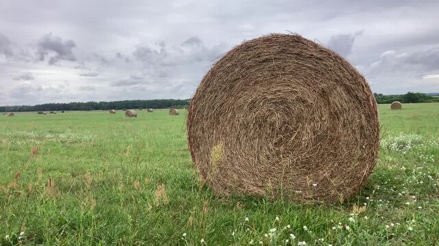 Hay bale on Swedish farmland during summer harvest season