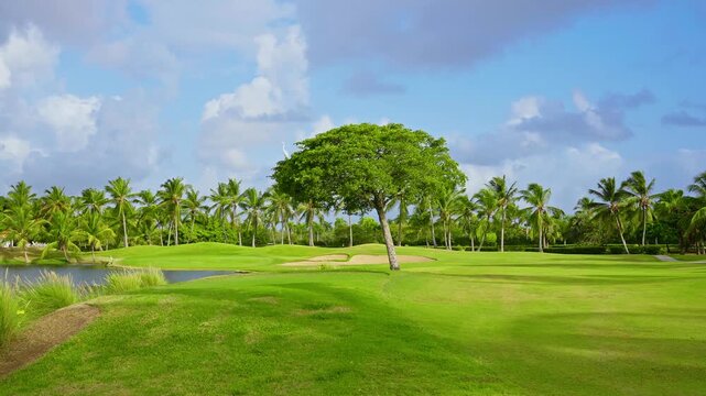 Golf course with a lake and natural landscape. A vibrant park-like setting features a green lawn and a mature deciduous tree. Grassy lawn in a city park with deciduous trees and blue sky above.