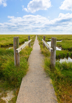 Path through the salt marsh at Sankt-Peter-Ording, German North Sea coast