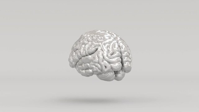 Chrome Human Brain Metallic Anatomical Brain Model 3D Illustration 4k Video