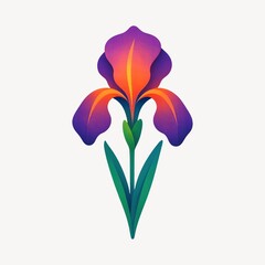 Obraz premium Vibrant iris flower illustration