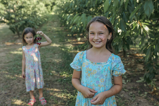 Smiling child and sister at cherry harvest in outdoor orchard