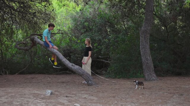 A mother and her fifteen year old teenage son talk and relax in a green forest park during a summer camping trip, with their small chihuahua dog