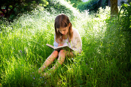 Little girl sitting on a meadow reading a book