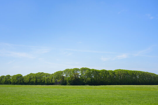 A green field and treeline sit under a blue sky in Leeuwarden