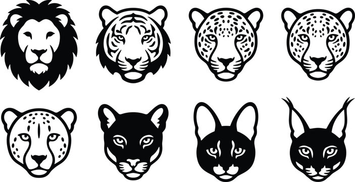 Set of black wild cat head vector silhouettes featuring lion, tiger, leopard, and various predator animals