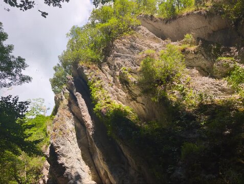 Inquadratura dal basso di una maestosa parete rocciosa verticale circondata da vegetazione verde