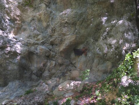 Piccola grotta naturale, nascosta tra rocce e vegetazione