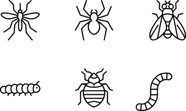 Insect and Pest Icons Vector Line Art Set for Exterminator Design