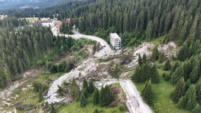 Aerial tracking shot of massive landslide path through mountain pine forest