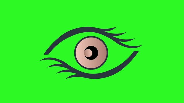 Animated Eye Blinking and Looking Around Vector Illustration on Green Screen