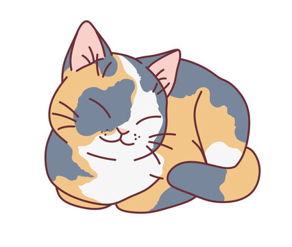 Sleepy calico cat. Vector illustration. Cute cats series. 