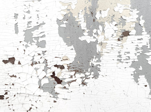 White peeling Paint reveals grey, beige and brown layers across cracked Concrete Wall. Distressed grunge Texture Background with curled fragments, rough damaged Surface and closeup detail.