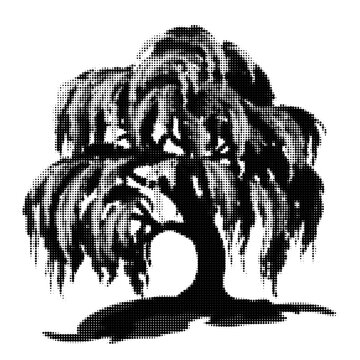 Weeping willow tree with intricate branches and roots illustration