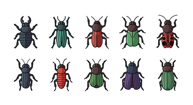 Colorful insect collection vector illustration