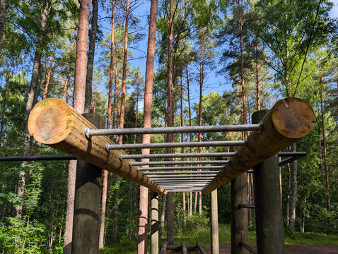 Outdoor wooden monkey bars calisthenics workout station surrounded by tall pine trees in a green natural forest park in Estonia on a sunny day