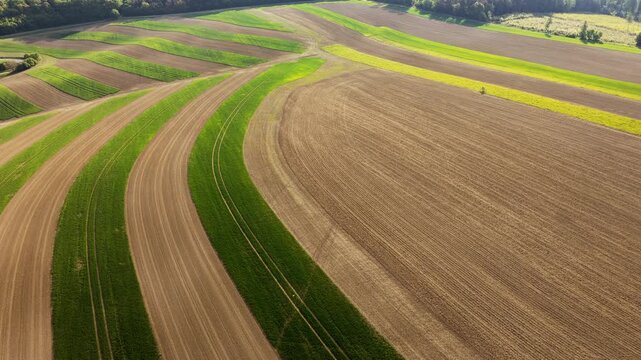 Aerial view of rolling agricultural fields with curved patterns of green crops and brown soil in Chvalkovice, Hradec Kralove Region, Czechia.