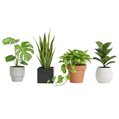 Fototapeta premium four diverse potted houseplants with lush green leaves isolated on transparent background