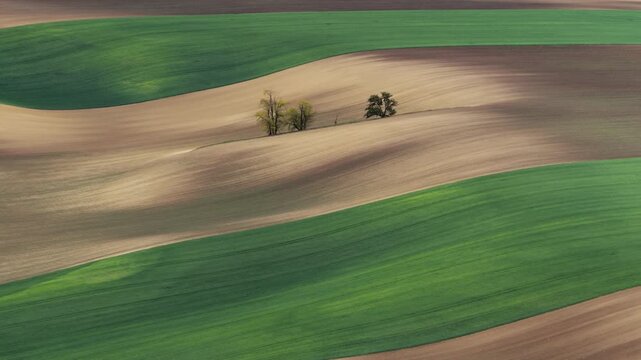 Aerial view of rolling green and brown agricultural fields with small clusters of trees in the landscape of Cejkovice, South Moravian Region, Czechia.