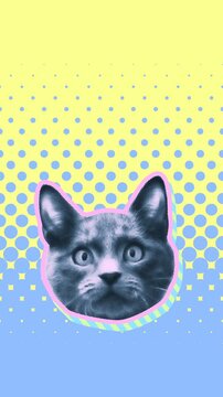Seamless young vertical video of cartoon style cat with duotono colors isolated with copyspace. Stop motion minimal animal art halftone style background in pink and blue