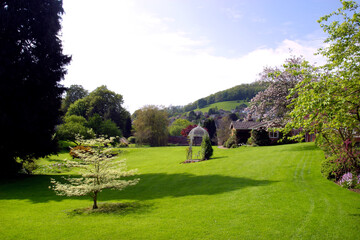 Fototapeta premium Large manicured lawned UK garden with trees, shrubs and features.