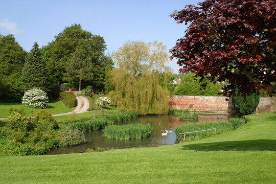 Large manicured lawned UK garden with trees, shrubs and large pond.