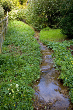 UK gardens. Small garden stream water feature.