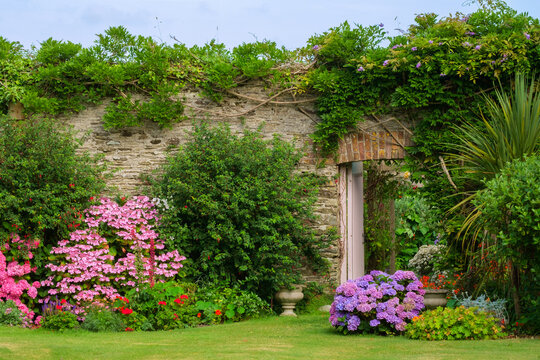 UK gardens. A beautiful summer walled garden border flowerbed display including various Hydrangeas. An open door shows a glimpse of a walled vegetable garden beyond.