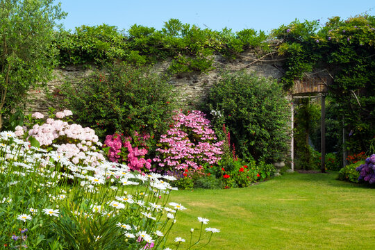 UK gardens. A beautiful summer walled garden border flowerbed display including Marguerite Daisies and Hydrangeas. An open door shows a glimpse of a walled vegetable garden beyond.