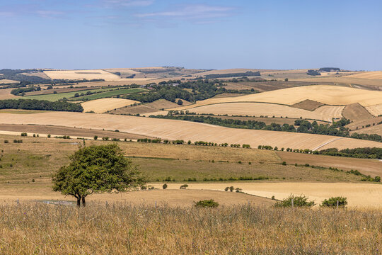 A view over farmland in the South Downs, during a dry summer in Sussex