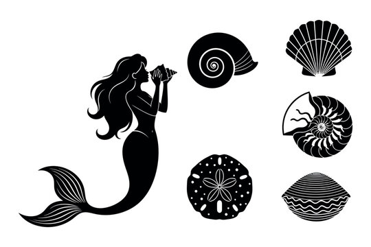 Black silhouette of a mermaid holding a seashell surrounded by various shells