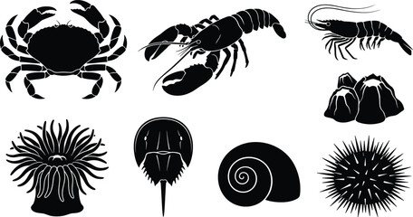 Marine invertebrates silhouettes set including crab lobster shrimp barnacles anemone horseshoe crab snail sea urchin vector © MdTuhin
