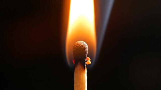 Macro view of a single matchstick burning with a vibrant flame against a black background