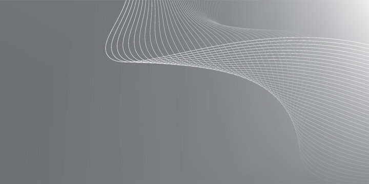Modern White and gray abstract gradient background Elegant wallpaper vector image for backdrop or presentation illustration background