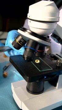 Examine a tick in a lab. Selective focus.