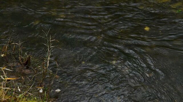 Natural landscape with a small stream or river, on a rainy autumn day.