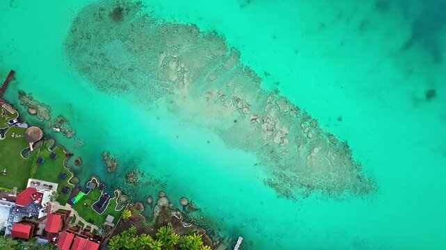Top-down aerial view of a deep cenote and reef in the turquoise Bacalar lagoon, Mexico, emerald shoals ringing the clear, glowing water below.