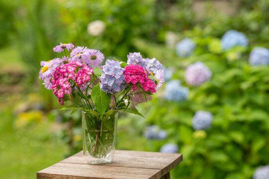 Fresh colorful bouquet of pink daisy flowers, blue hydrangea and garden blossoms arranged in a clear glass vase outdoors. Beautiful summer floral arrangement with natural green background, gardening, 
