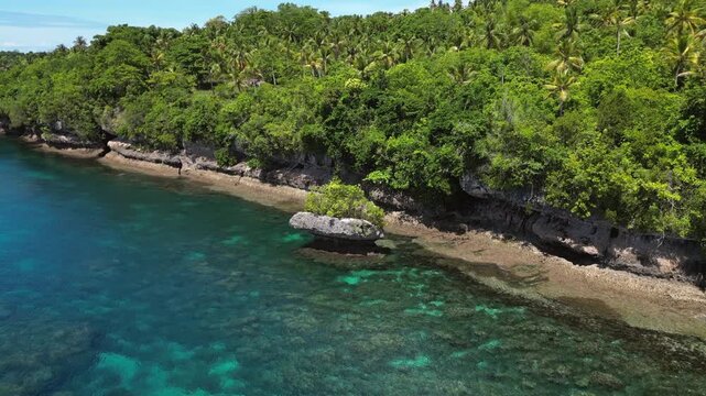 Samal Island Lagoon And Tropical Palm Forest Davao Philippines Drone Pan Track In Close 4K 30FPS