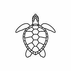 Obraz premium Minimalist sea turtle line drawing for tropical travel themes