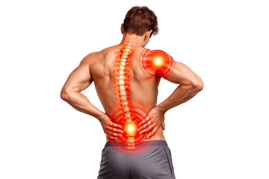 Human back pain with highlighted spine shoulder inflammation lumbar discomfort muscular strain anatomy isolated on white background