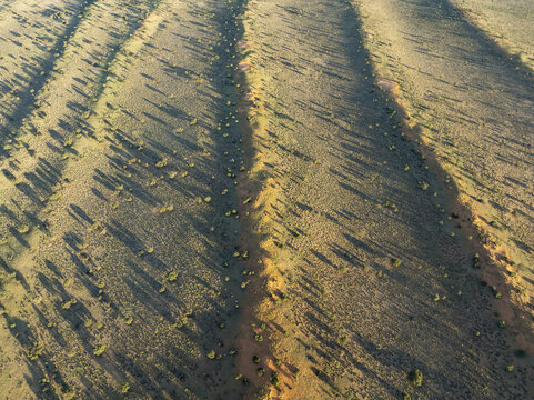 Aerial view of the vast Kalahari Desert landscape featuring parallel sand dunes, sparse desert vegetation, and long shadows cast by the low sun in the Kalahari Desert, Hardap Region, Namibia.