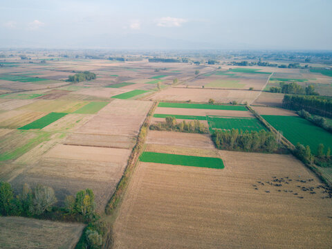 Aerial view of Lake Kerkini agricultural fields with patchwork patterns of green and brown crops, scattered trees, and rural landscape in Serres, Greece.